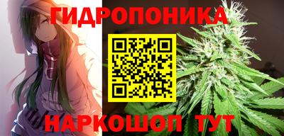 ECSTASY Заволжье