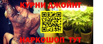 прущие грибы Заводоуковск